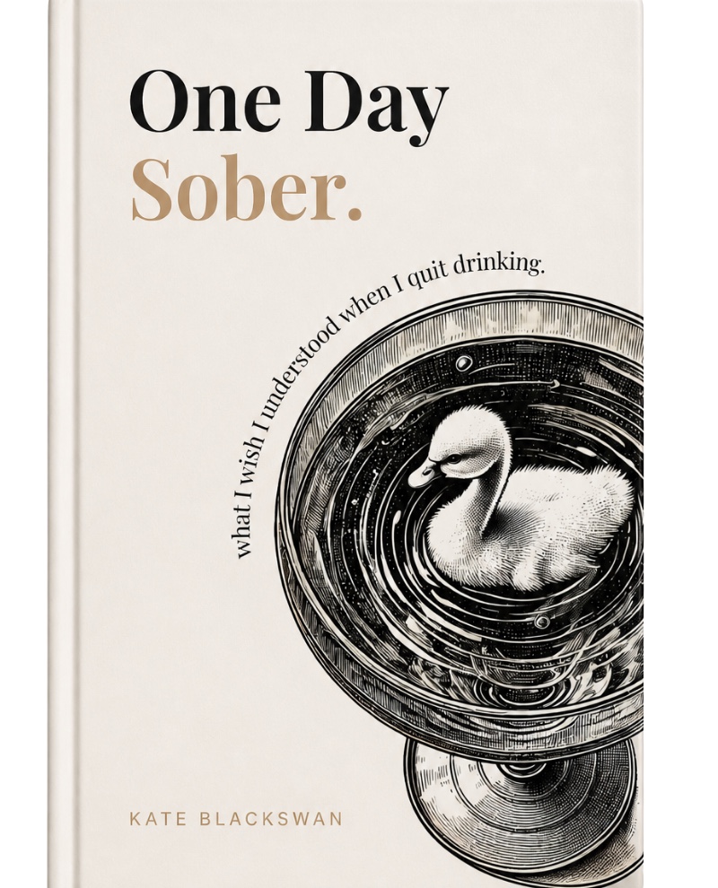 One Day Sober book cover by Kate Blackswan — what I wish I understood when I quit drinking.
